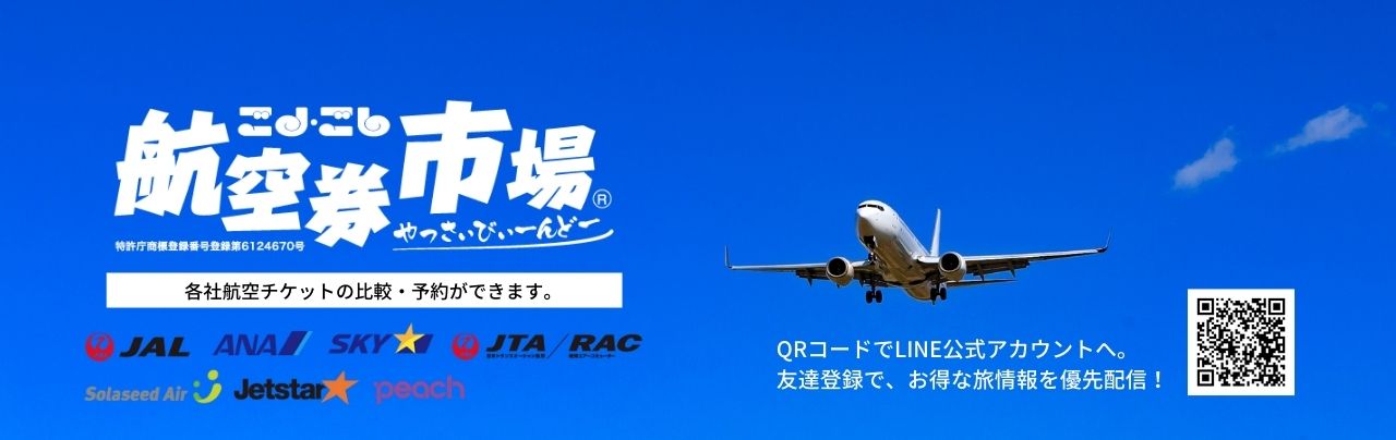 ごしごし航空券市場